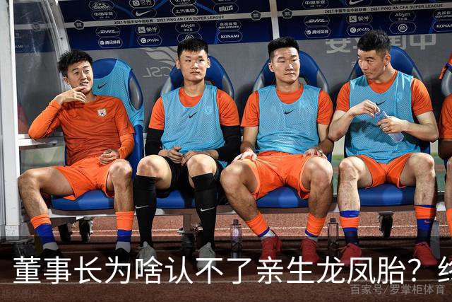董事长为啥认不了亲生龙凤胎？终于真相大白！